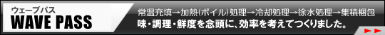 �E�F�[�u�p�X